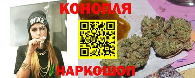 ECSTASY Новозыбков