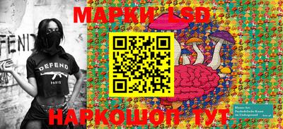 ECSTASY Новозыбков