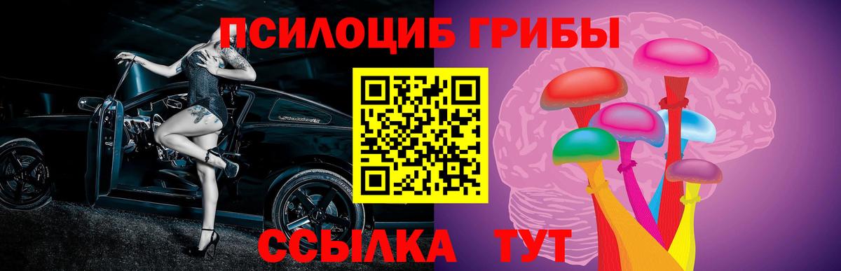 Родники  Галлюциногенные грибы Magic Shrooms  Вход с VPN  Псилоцибиновые грибы Psilocybe 